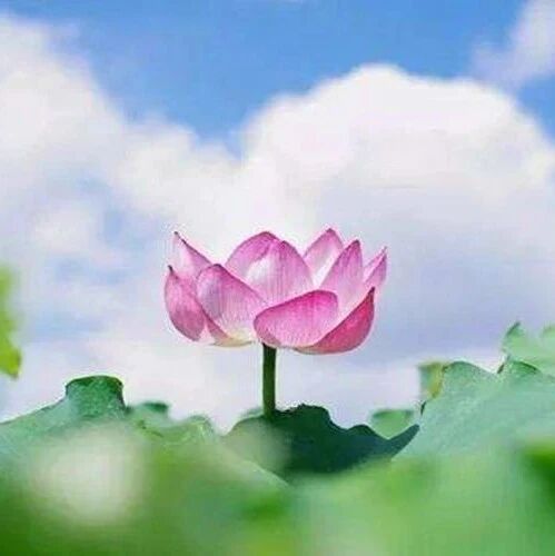 【湿地悦享】胡婷婷：为自己，点一盏心灯