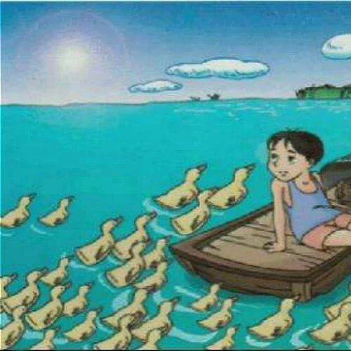 第 1749 季【湿地课堂】每一节课，都是一场孤独之旅