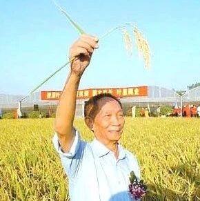 【永军专栏】探字寻根读诗文148：秉和兼