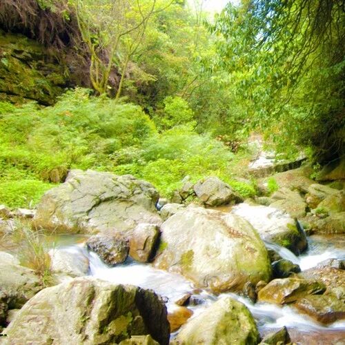 第1790季【湿地 • 悦享生活】于山水间，见生活情趣