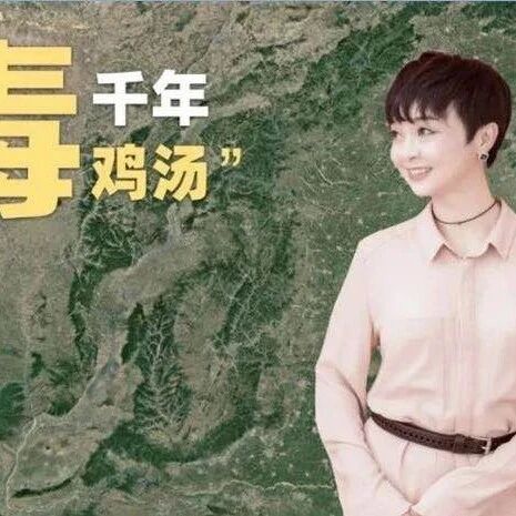 【青春课堂】 王君网课：（下）一干而尽这碗千年“毒”鸡汤——《愚公移山》新读
