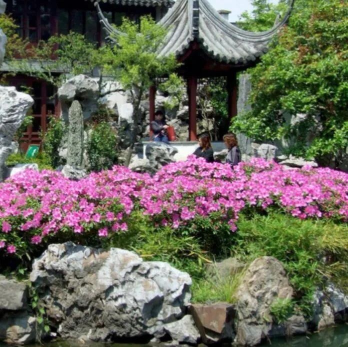 【海波专栏】说明文也可以这么美
——《苏州园林》教学设计