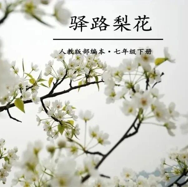 第2948季【湿地 豫见】《驿路梨花》教学设计