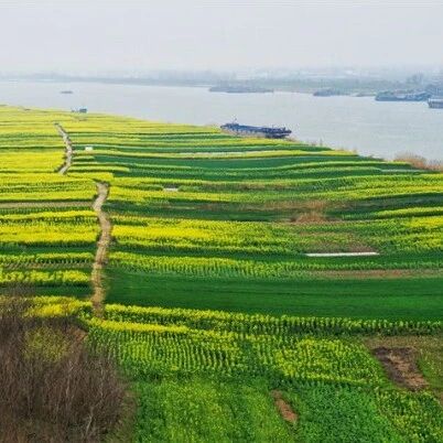 【湿地淮语】跟黄厚江老师学习教学设计优化策略之添加