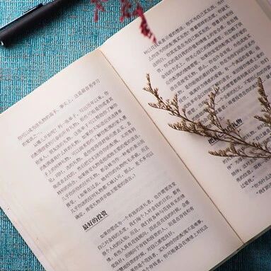 第2018季【湿地随笔】每一粒时光，都含着情