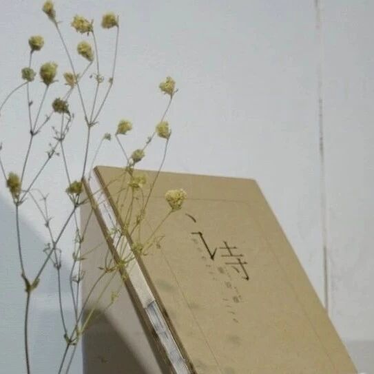 第1860季【湿地淮语】彭光品现代诗八首