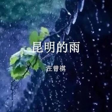 【湿地课堂】施忠海：长沟流月去无声——品读《昆明的雨》