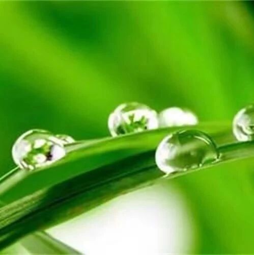 【海波专栏】让诗词的生命生生世世