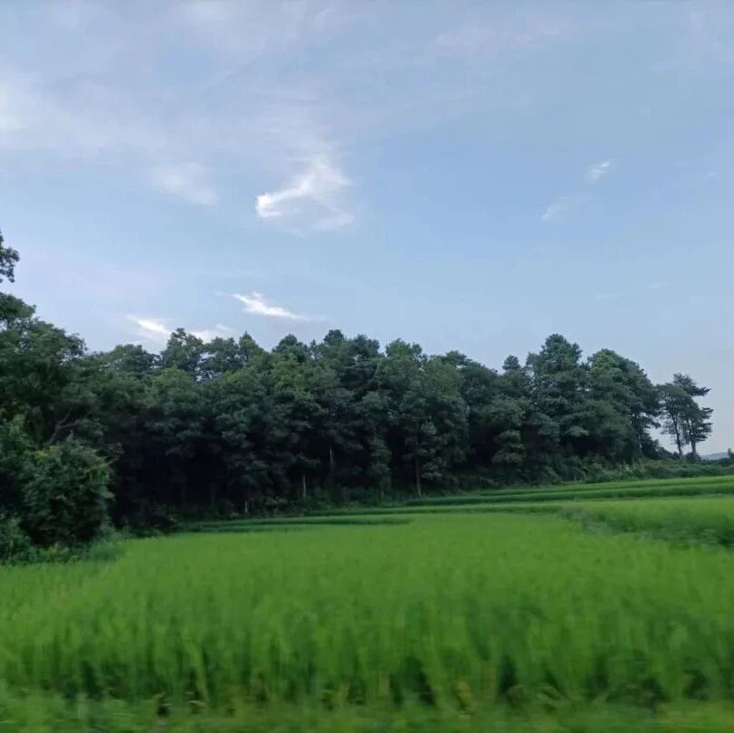 【湿地黔行】陈玉蓉:生命的渴求——2021年十佳微小说之《我的晚年》解读