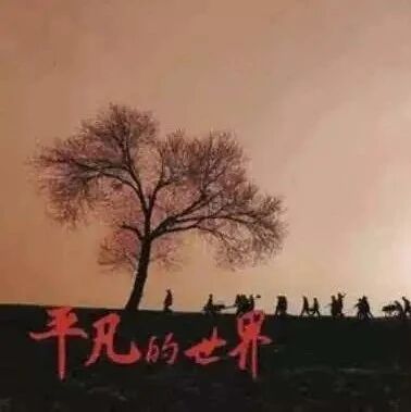 第2550季【湿地淮语】赵民：至善至美贺秀莲——读《平凡的世界》