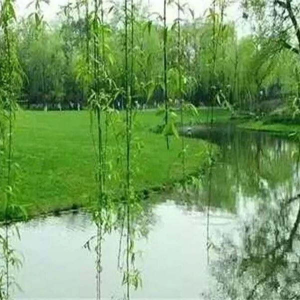 【湿地豫见】教育的美好姿态