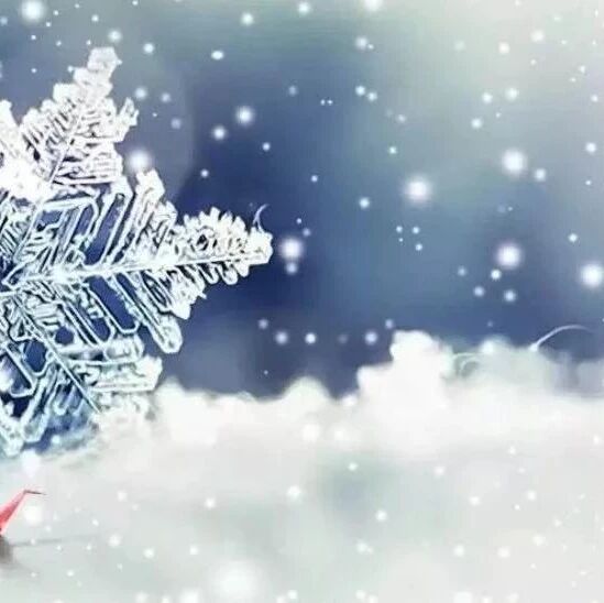 第2106季【青春课堂】好将一点红炉雪  散作人间照夜灯——评周忠玉老师《只有香如故》课例