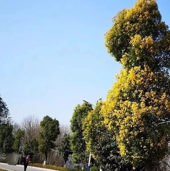 第1908季【湿地秦风】潘瑞枝：行走天地间 慧眼赏风景