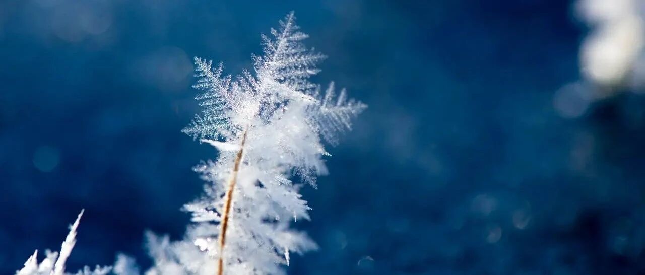 【青春语文·张娟专栏】雪域北疆，淬炼筋骨
