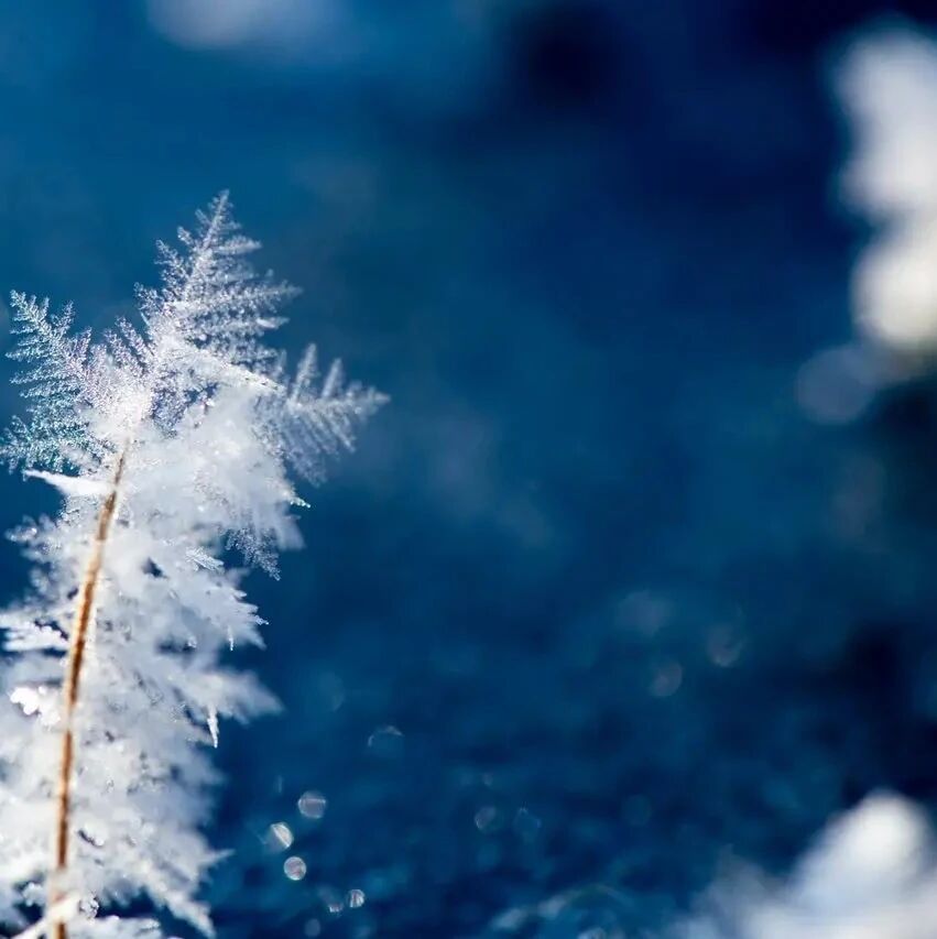 第2536季【湿地淮语】张娟：雪域北疆，淬炼筋骨