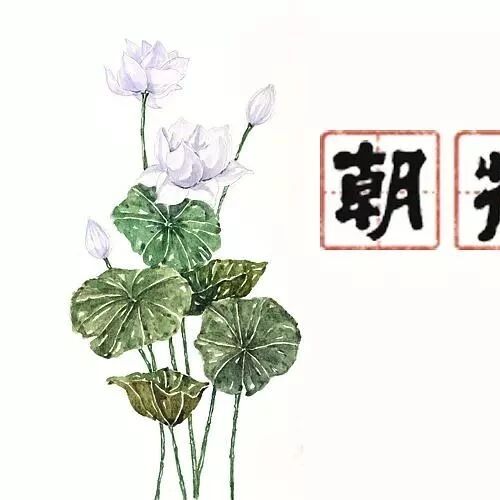 第 1756 季 【湿地课堂】名著导读《朝花夕拾》：消除与经典的隔膜