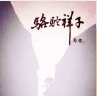 【阅读教学】封面的“背面”——基于网络交流的《骆驼祥子》整本书阅读指导教学设计