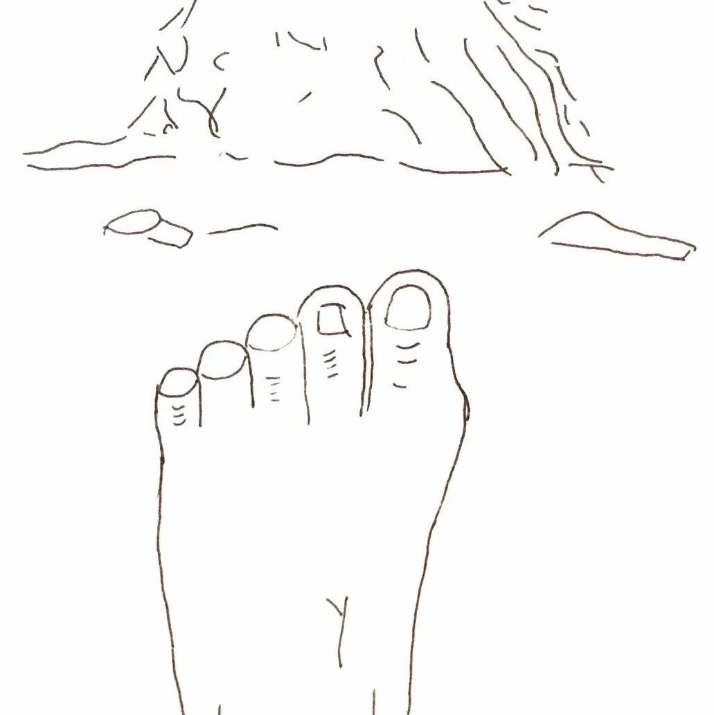 【永军专栏】【探字寻根读诗文】59：徒
