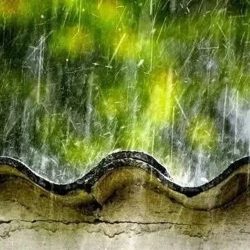 第2754季【湿地豫见】王兴伟：“补”出语言的情味——浅析《昆明的雨》中“补笔”艺术