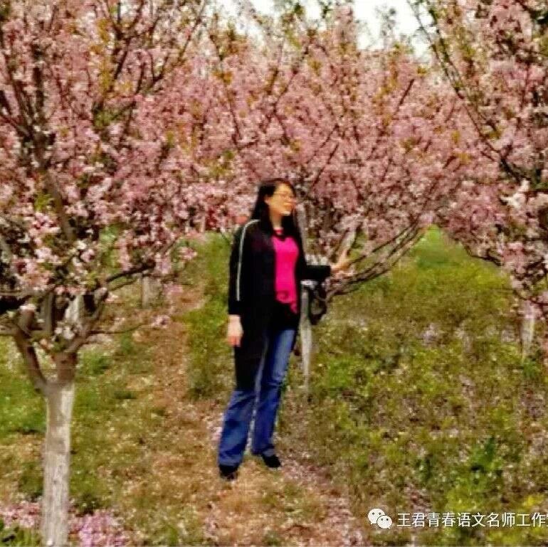 【我在成长】郑丹：从语文湿地网络教师成长学院拿什么？