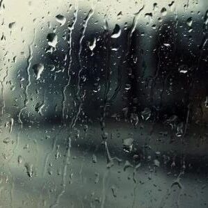 第2006季【湿地淮语】雨落红尘意入境——课堂偶得