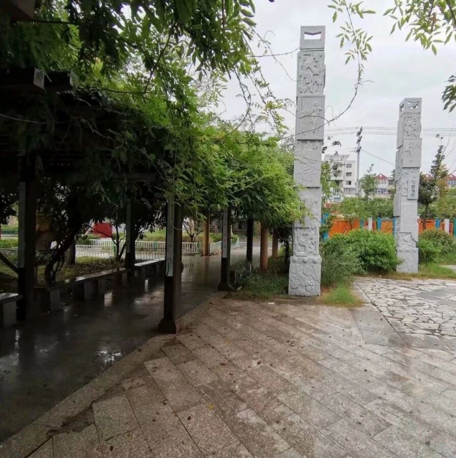 第2250季【湿地淮语】依体而教，深挖细节——以余映潮《最后一课》教学为例