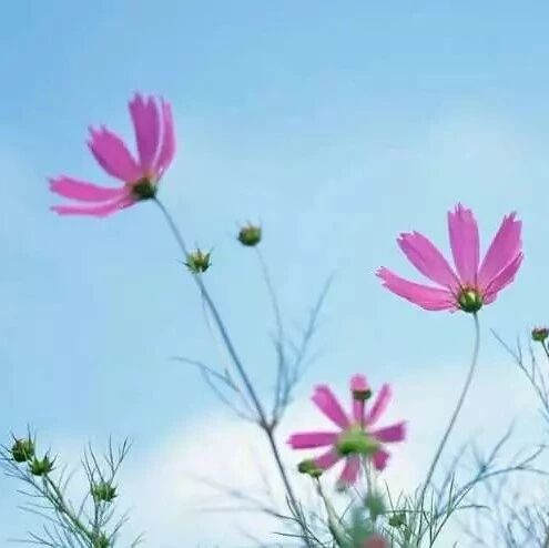 【湿地随笔】迟到十年的觉醒