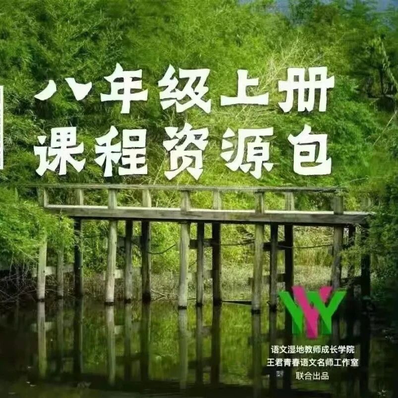 【湿地随笔】白利：走停往返入深处，情怀展虹霓