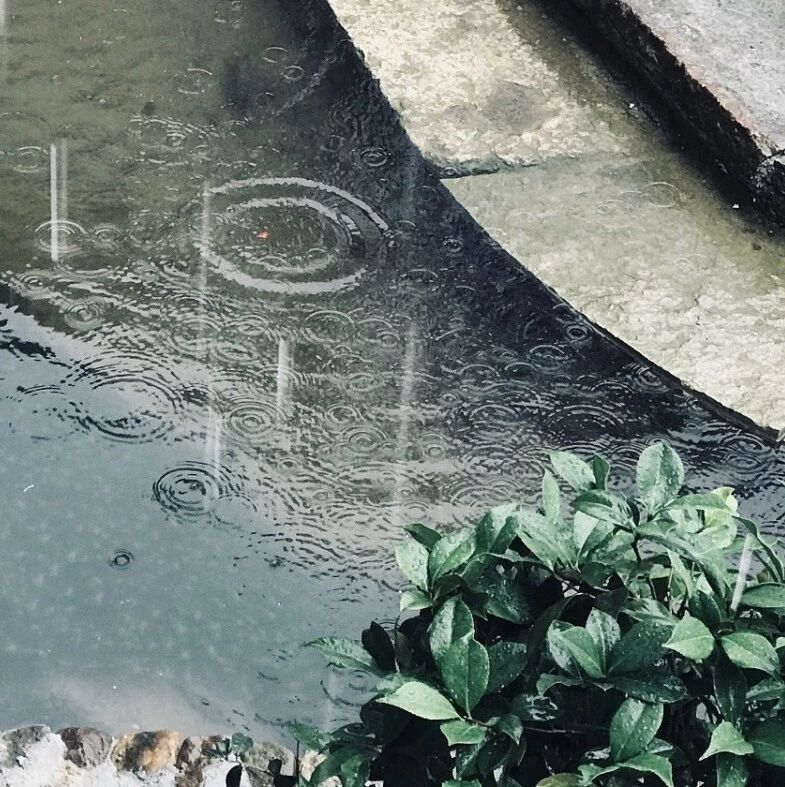【淮语花絮】醉雨江南