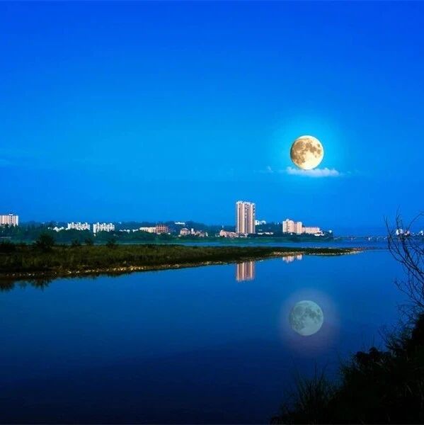 第2649季【湿地豫见】赵政伟: 《春江花月夜》教学设计