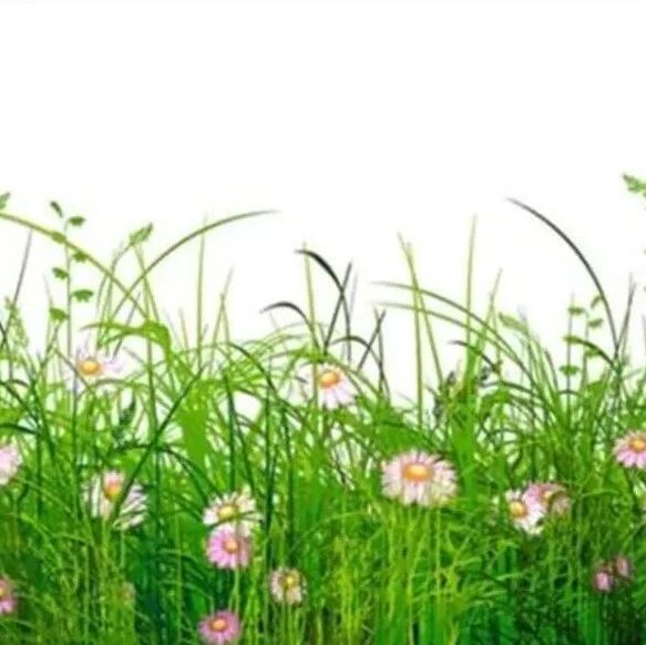 【湿地 豫见】静待花开
