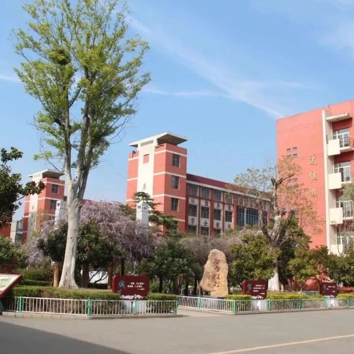第2711季【湿地淮语】朱莉：涓涓热血育幼苗，拳拳爱心为华教