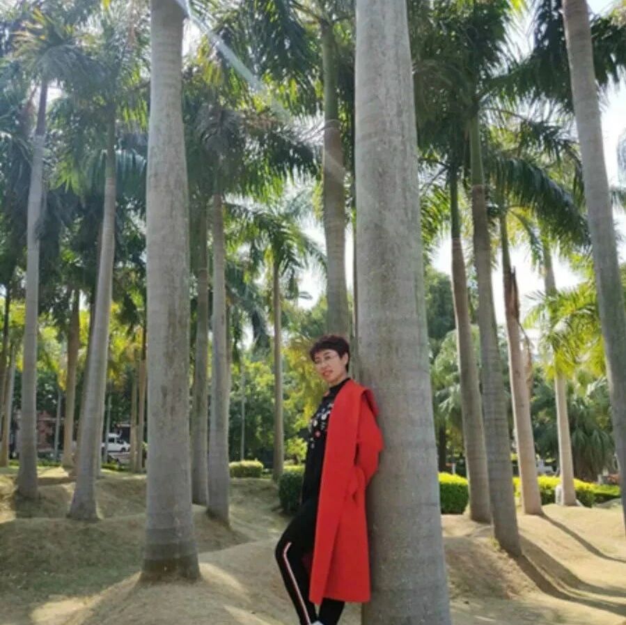 第2319季【狗尾草专栏】名著阅读中培养学生思维能力训练举隅