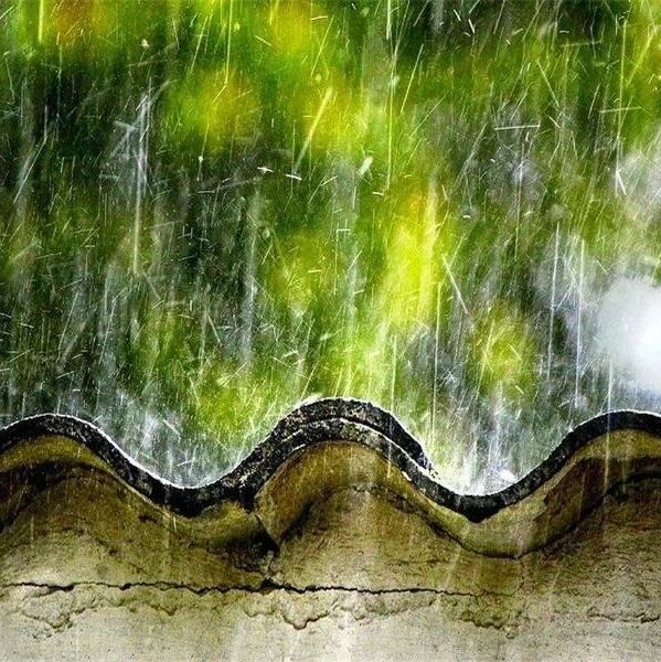 第2488季【湿地豫见】高丹丹：《昆明的雨》教学设计