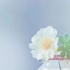 【山海凿文】陈净净：《说和做——记闻一多先生言行片段》的语用教学探幽