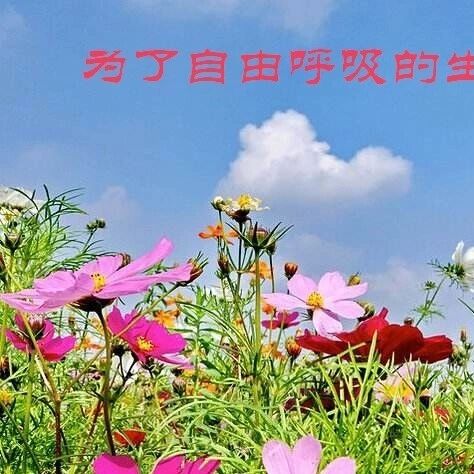 【海波专栏】 一路修行做老师