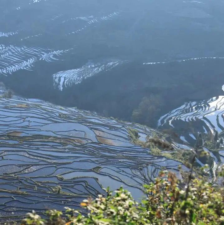 【湿地随笔】海燕游黔东南之五：上帝的杰作——多依树梯田日出