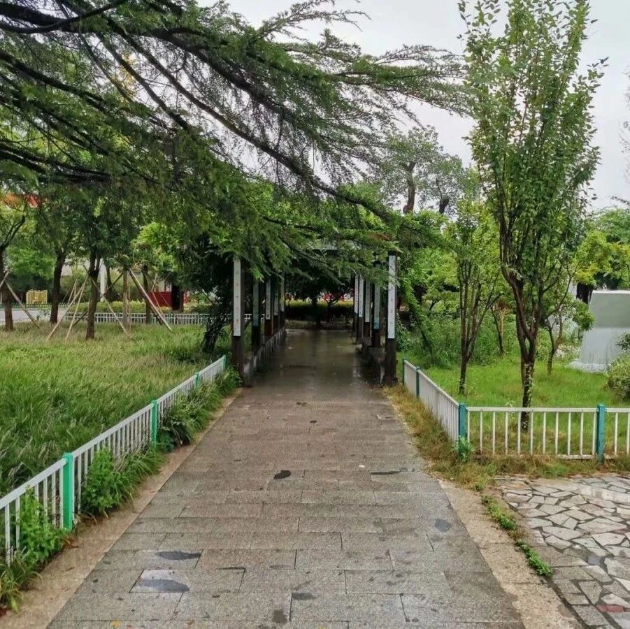 第2215季【湿地淮语】魏萍：“我会同草木一起，把你爱恋”——共生作文学习札记