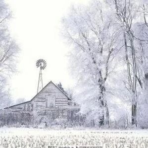 【湿地随笔】千树万树梨花开 ——一千二百年前飘来的雪