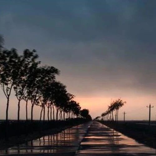 第2721季【湿地黔行】赵米英：对不起四月，我恨你