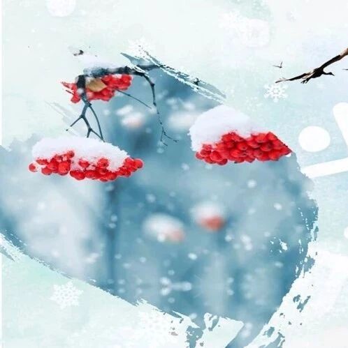 第1837季【湿地悦享】冬至的味道