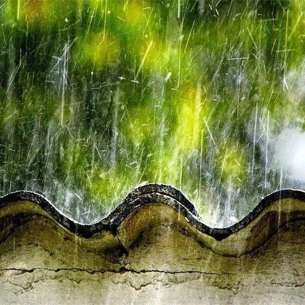 【湿地豫见】田伟玲：《昆明的雨》教学设计