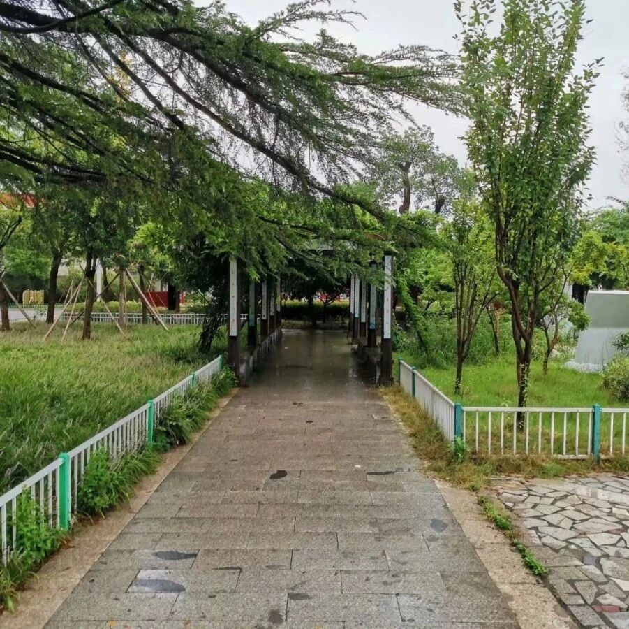 第2257季【湿地淮语】让诗歌课堂“动”起来