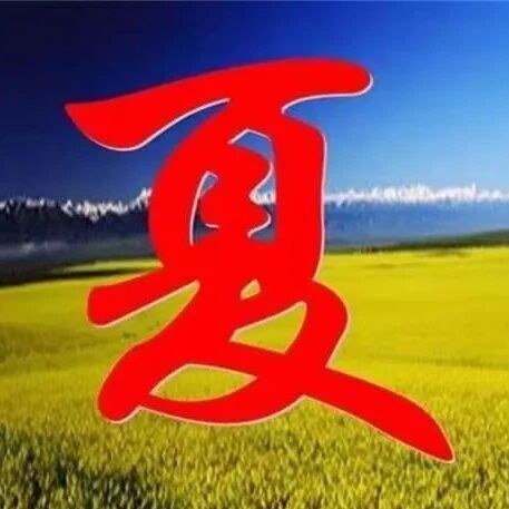 【海波专栏】   时光里的“夏”语——评俞春霞的《夏》