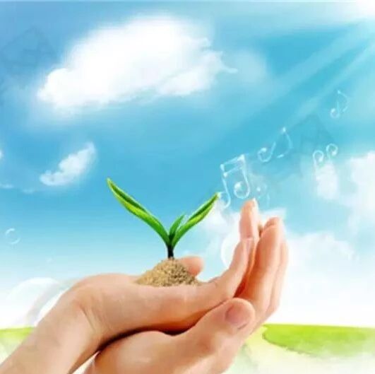 【湿地豫见】用语文演绎生命的华丽 ——读熊芳芳老师的《生命语文》有感