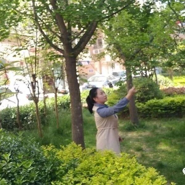 【湿地豫见】王定云：教育是朵最美的花