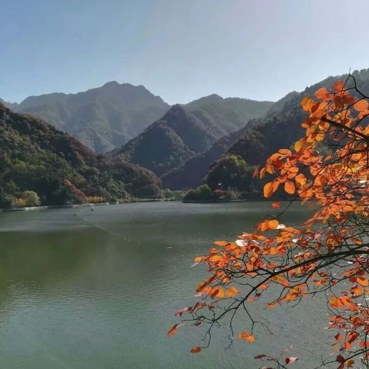 第 2151季【湿地秦风】井慧茹：旗帜鲜明亮观点