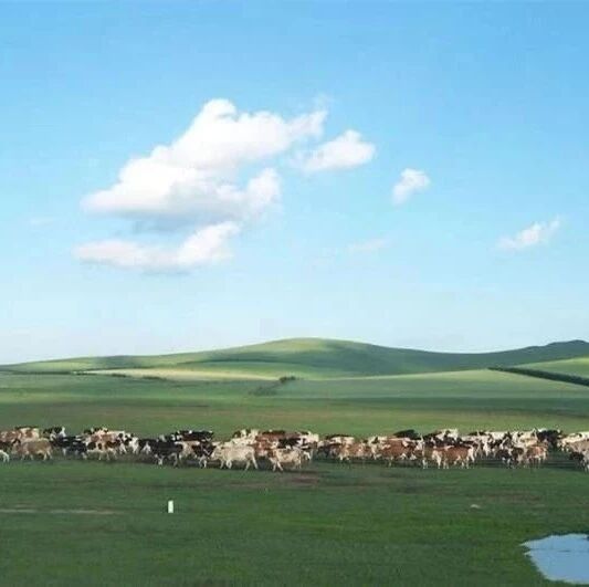 【湿地随笔】方丽：青春激荡，语文幻想——朋友圈“湿地”围观感悟