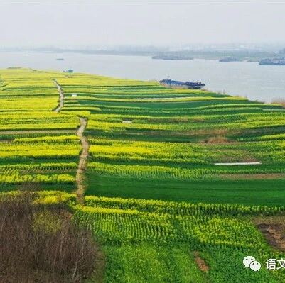 第2348季【湿地淮语】每一缕晨曦，都是喷薄的希望——浅谈诗歌仿写对学生思维能力的培养
