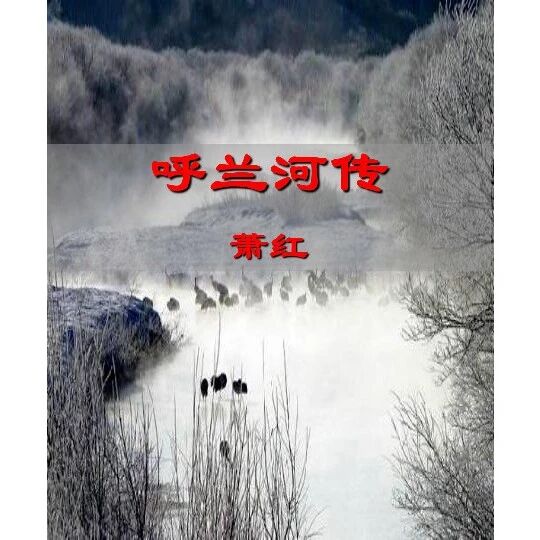 第2099季【湿地阅读】那一座让人百感交集的小城——众人眼中的《呼兰河传》